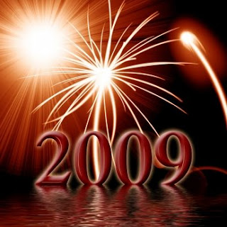 2009 anno
