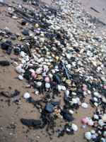 Spazzatura in spiaggia