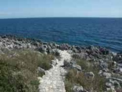 marina di marittima